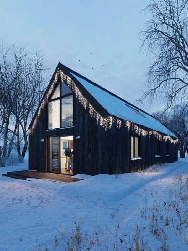 Dom stodoła szkieletowa, dom tani w budowie